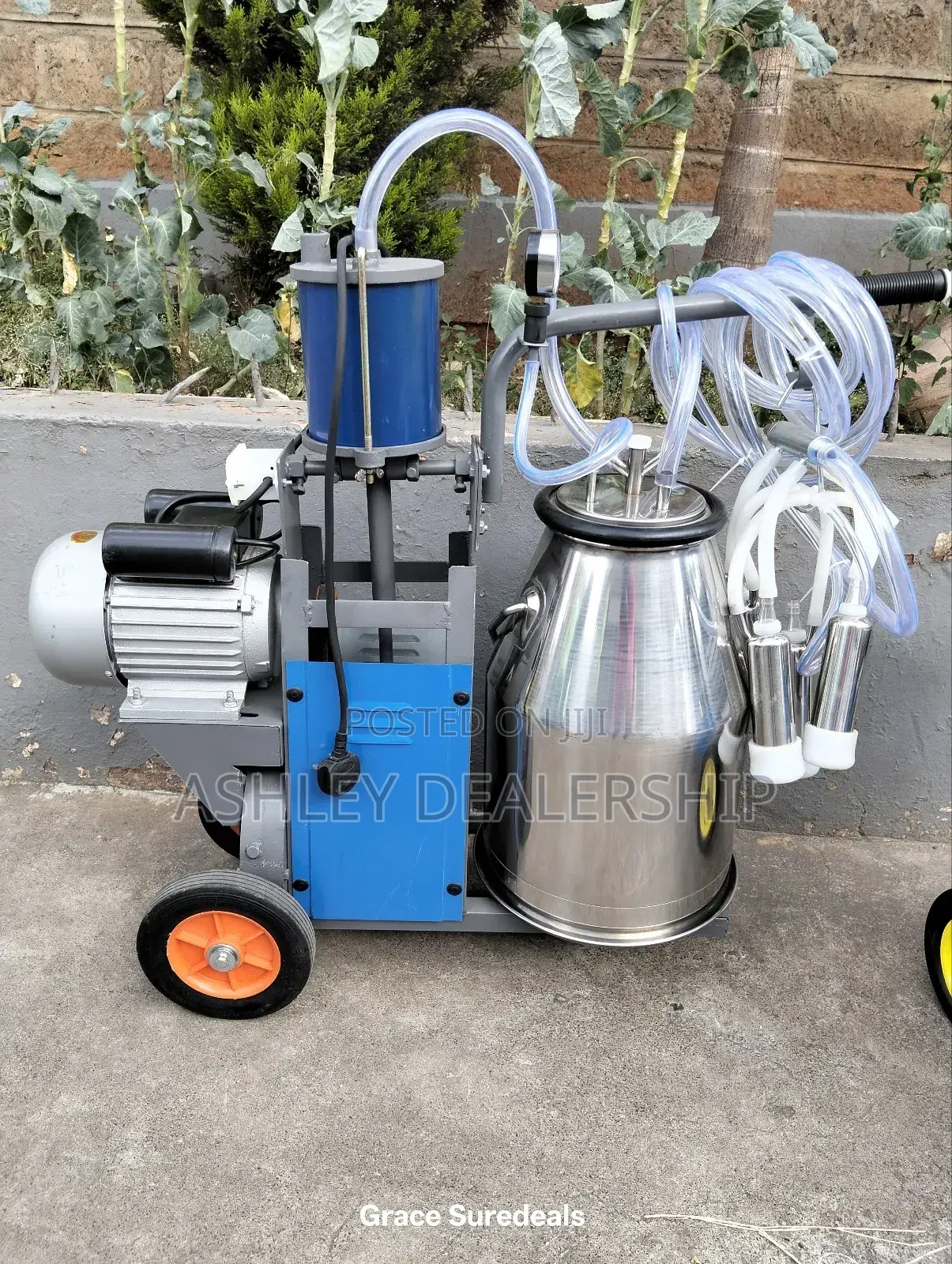 Single Barrel Milking Machine