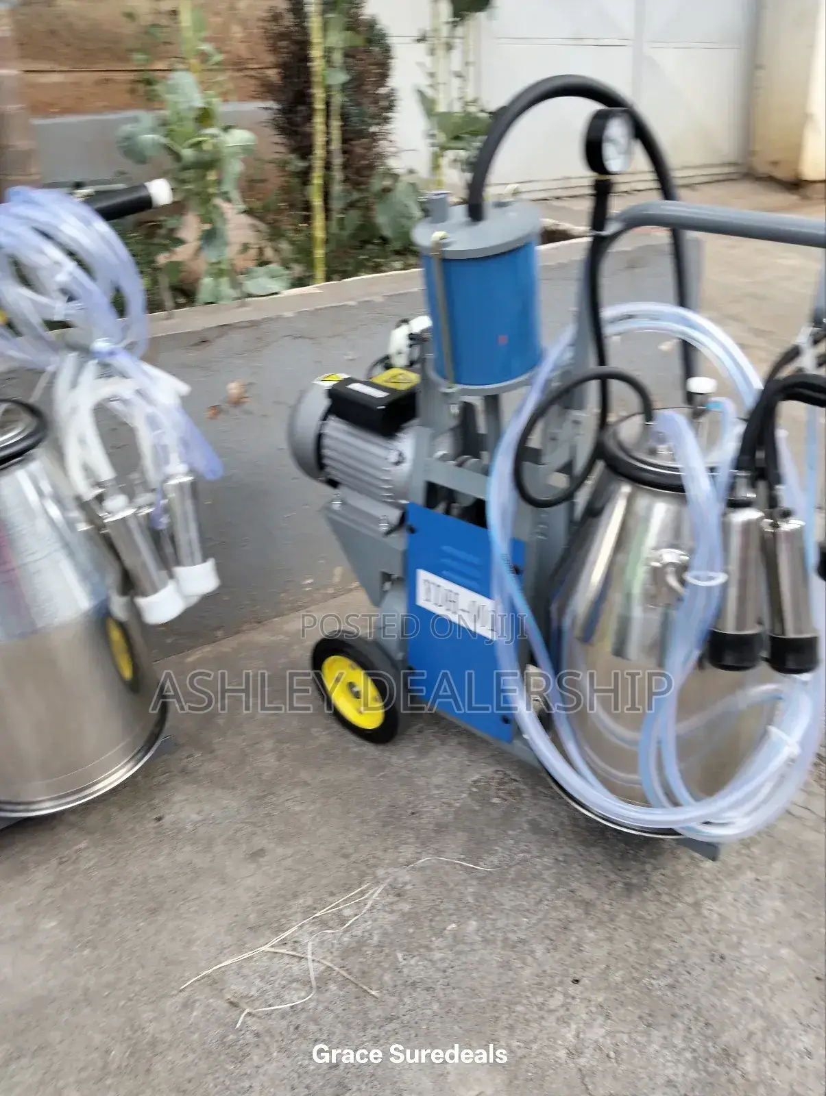 Single Barrel Milking Machine