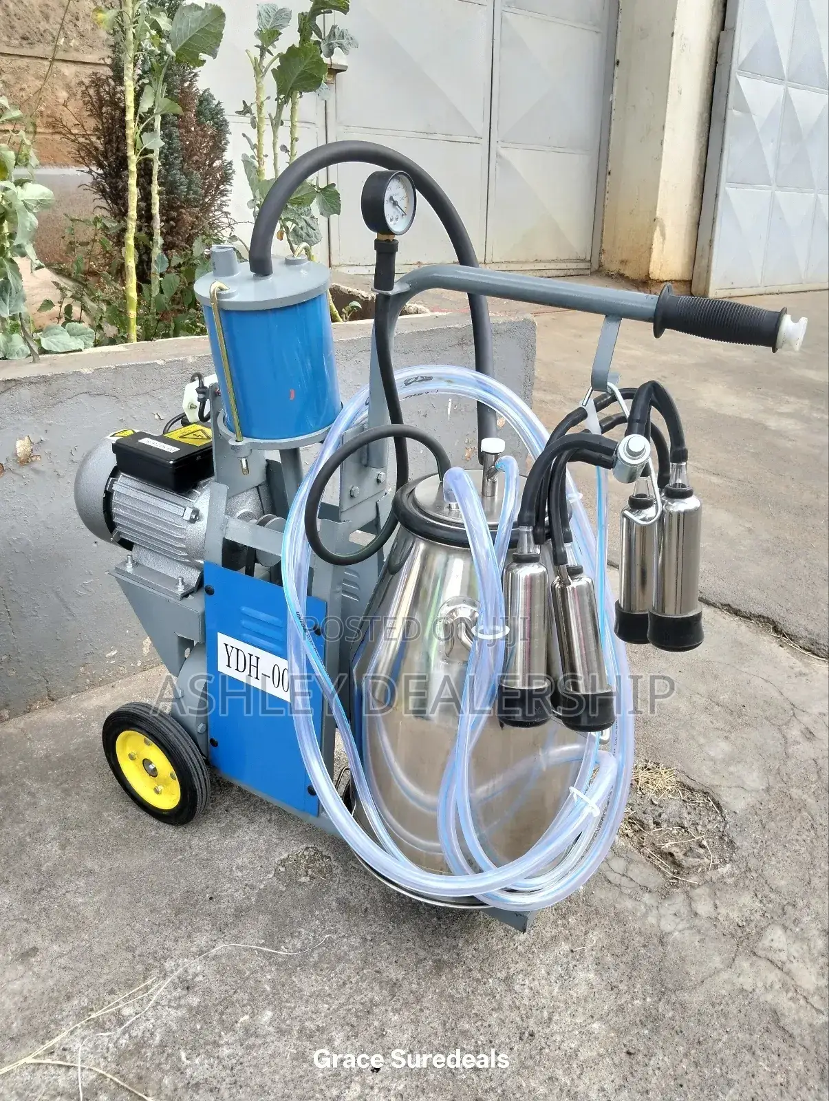 Single Barrel Milking Machine