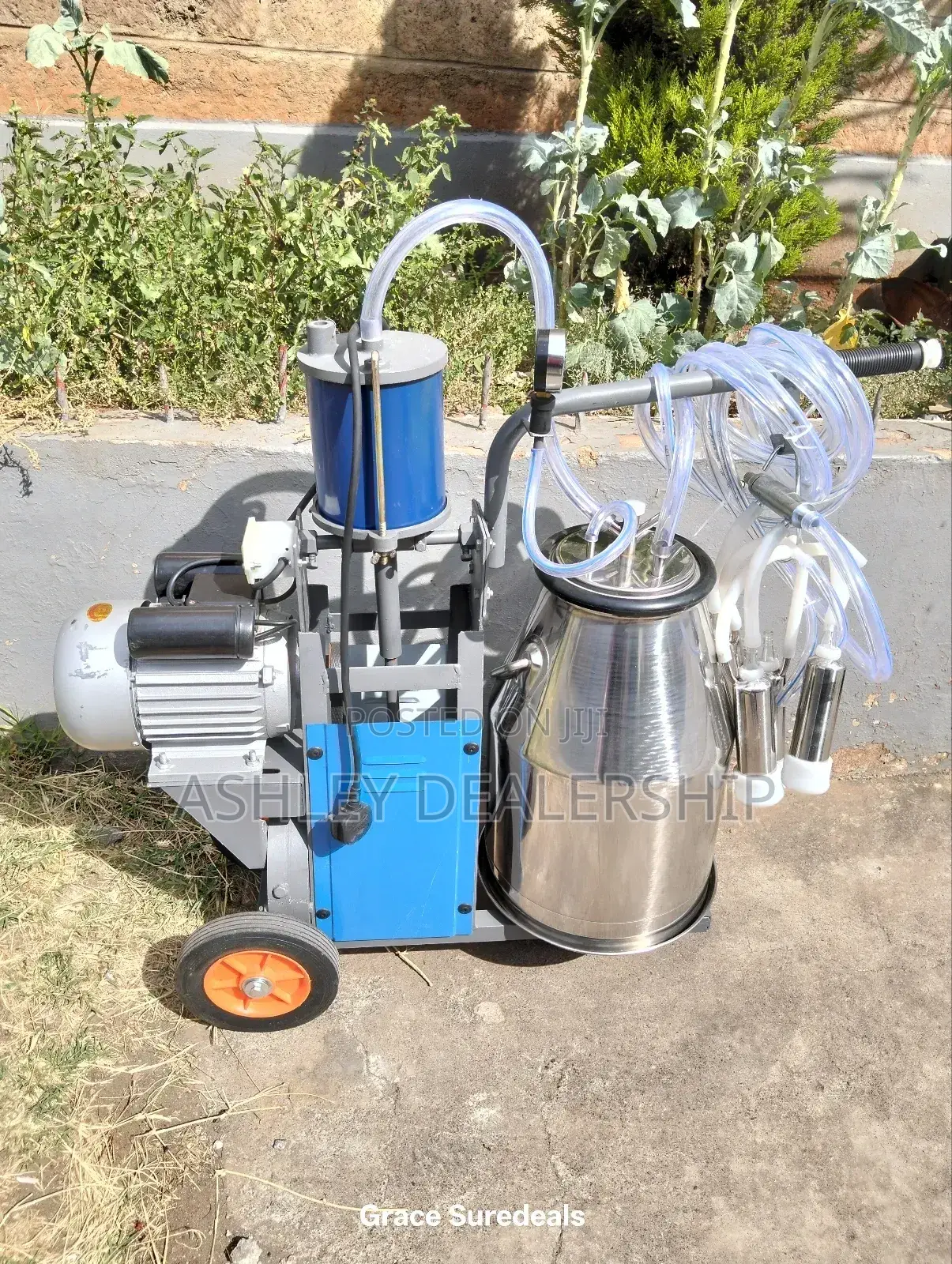 Single Barrel Milking Machine