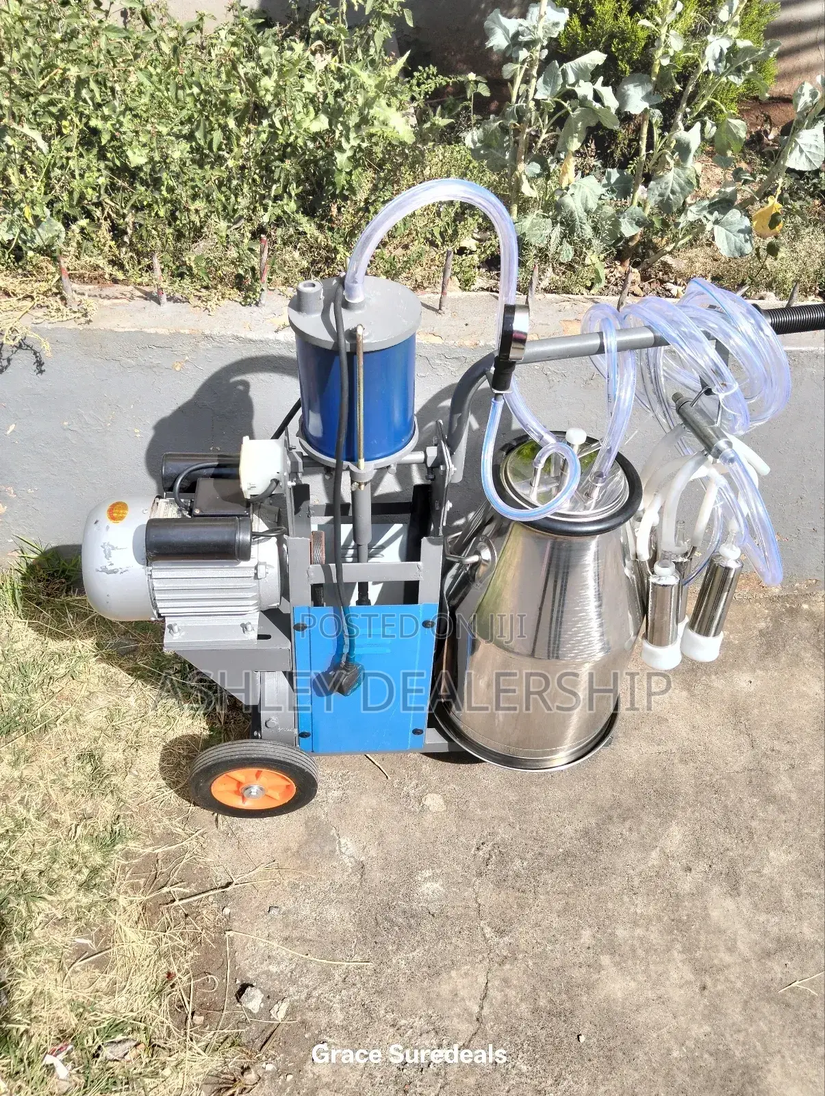Single Barrel Milking Machine