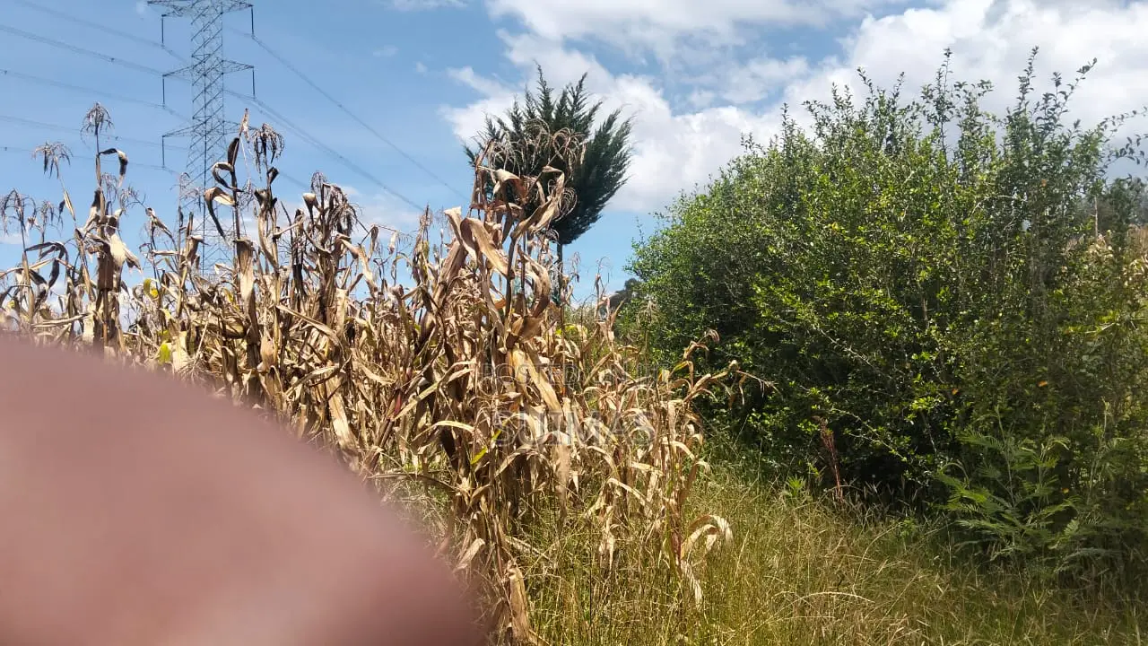 General Land – Two Sons – 2 Acres
