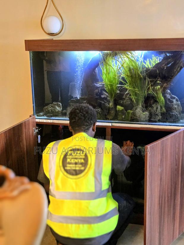 Professional Aquarium Maintenance Service - main view