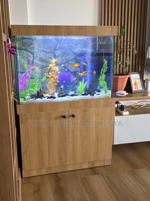 Fully Set Aquarium With Cabinet Storage Decorative Setup - main view