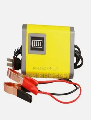 12v 2a Auto Battery Charger
