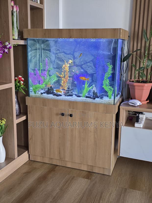Elegant Home Aquarium With Wood Stand