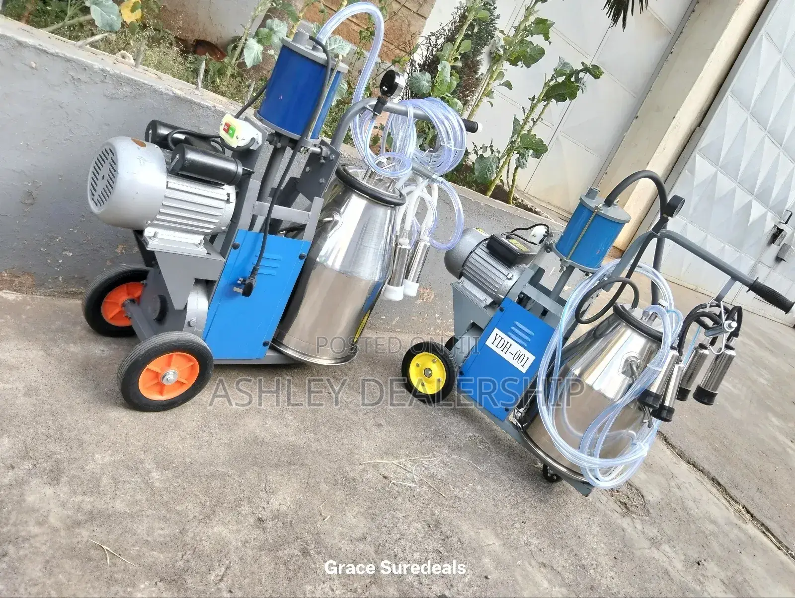 Modern Dairy Milking Machine