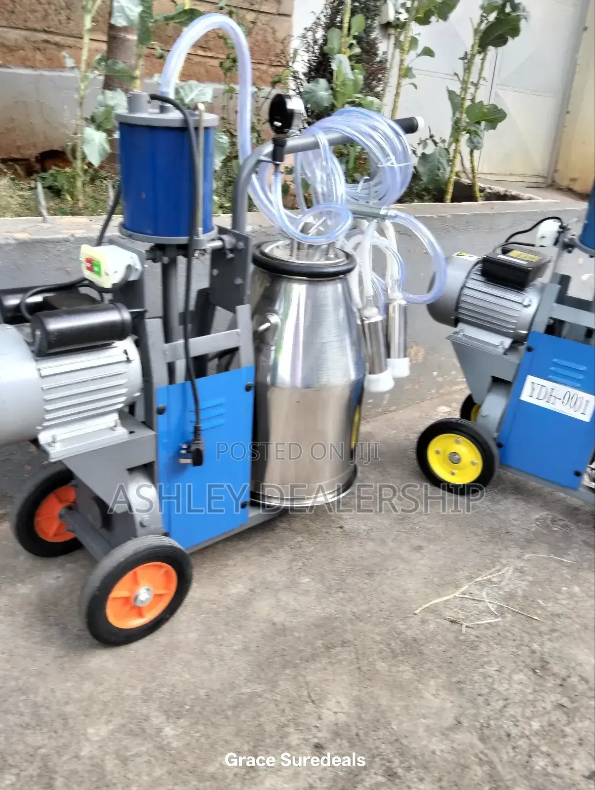 Modern Dairy Milking Machine