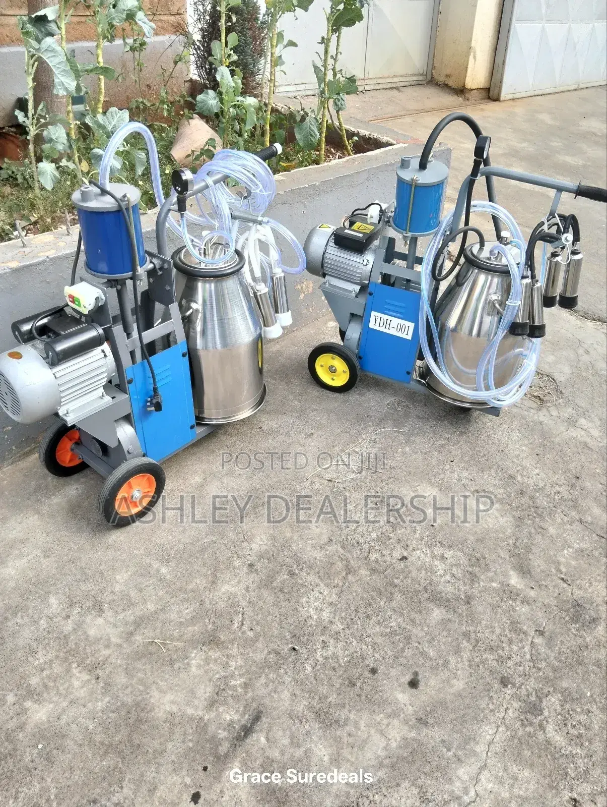 Modern Dairy Milking Machine
