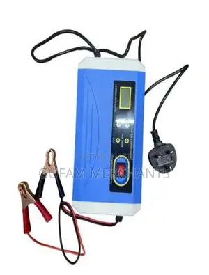12v 10a Auto Battery Charger