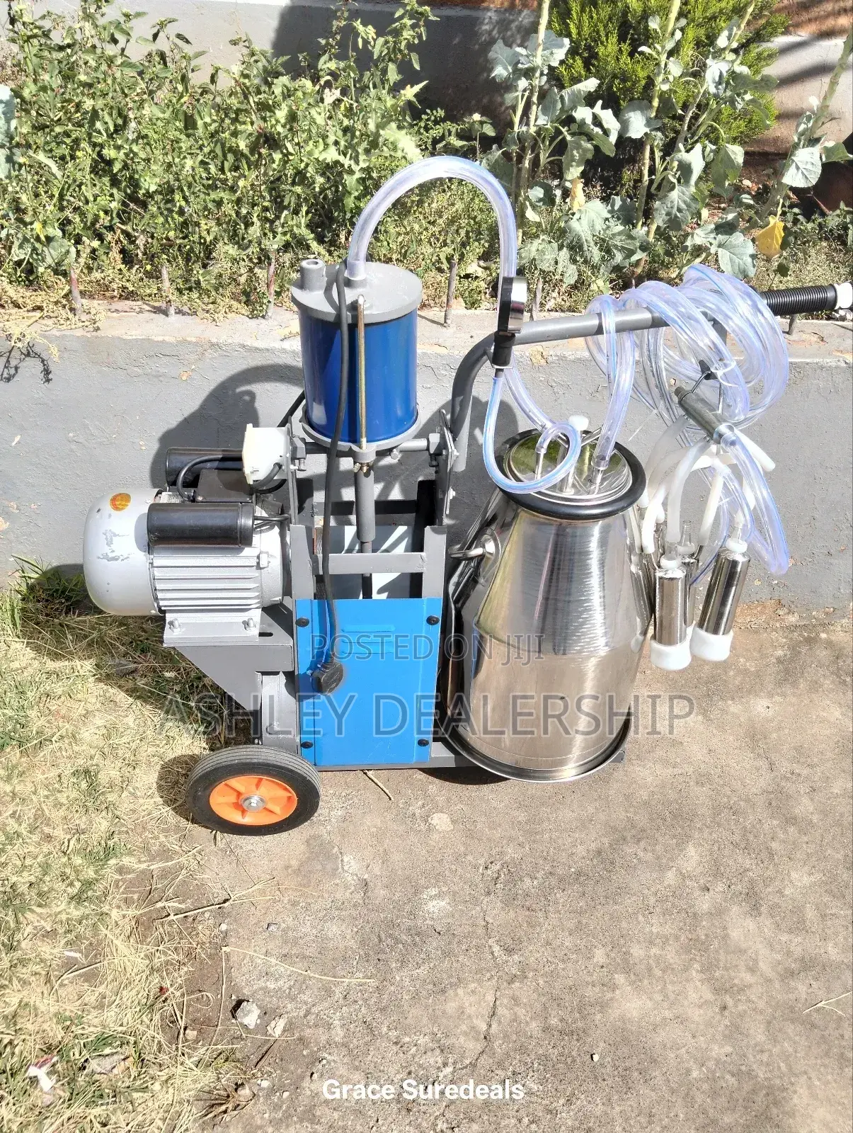 Non- Contaminated Milking Machine