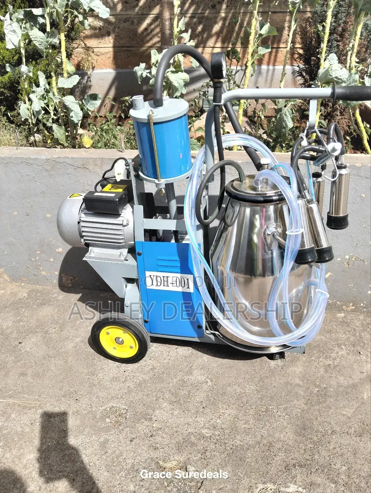 Non- Contaminated Milking Machine
