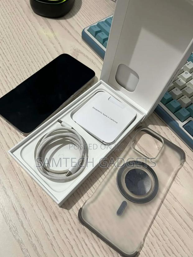 Apple iPhone 15 Pro Max 256 GB Silver - thumbnail 9