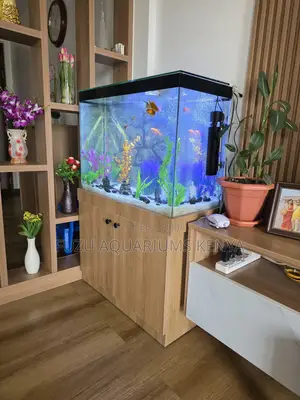 Dream Aquarium Kit With Stylish Stand