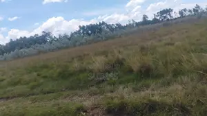 2-Acre Property for Sale in Olkalou