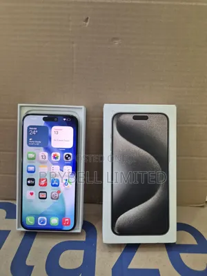 Apple iPhone 15 Pro Max 256 GB Gray