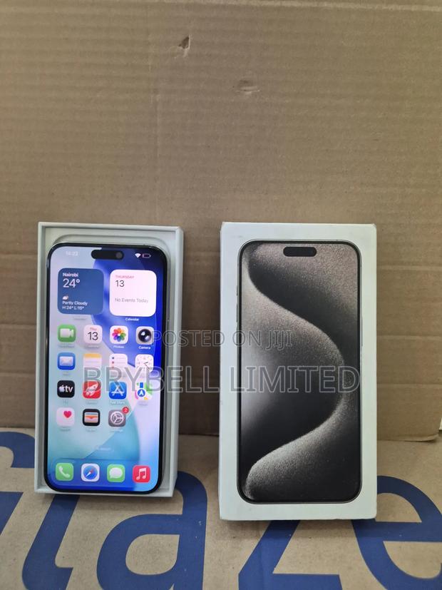 Apple iPhone 15 Pro Max 256 GB Gray - thumbnail 3