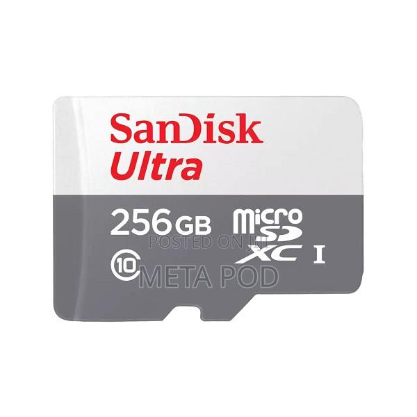 Sandisk Microsd Class 10 100mbps 256gb Without Adapter - thumbnail 2