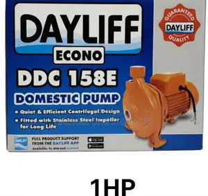 Dayliff DDC Domestic Pump.