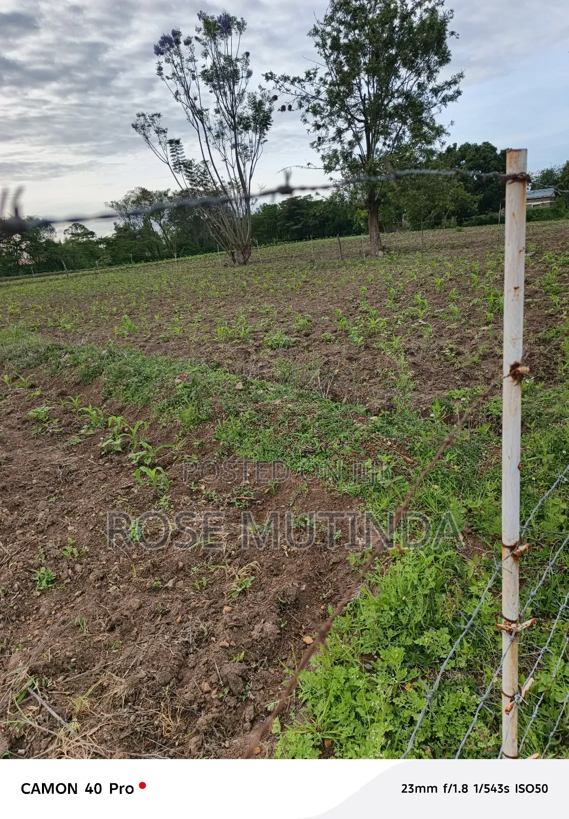 1acres Ar Syanthi