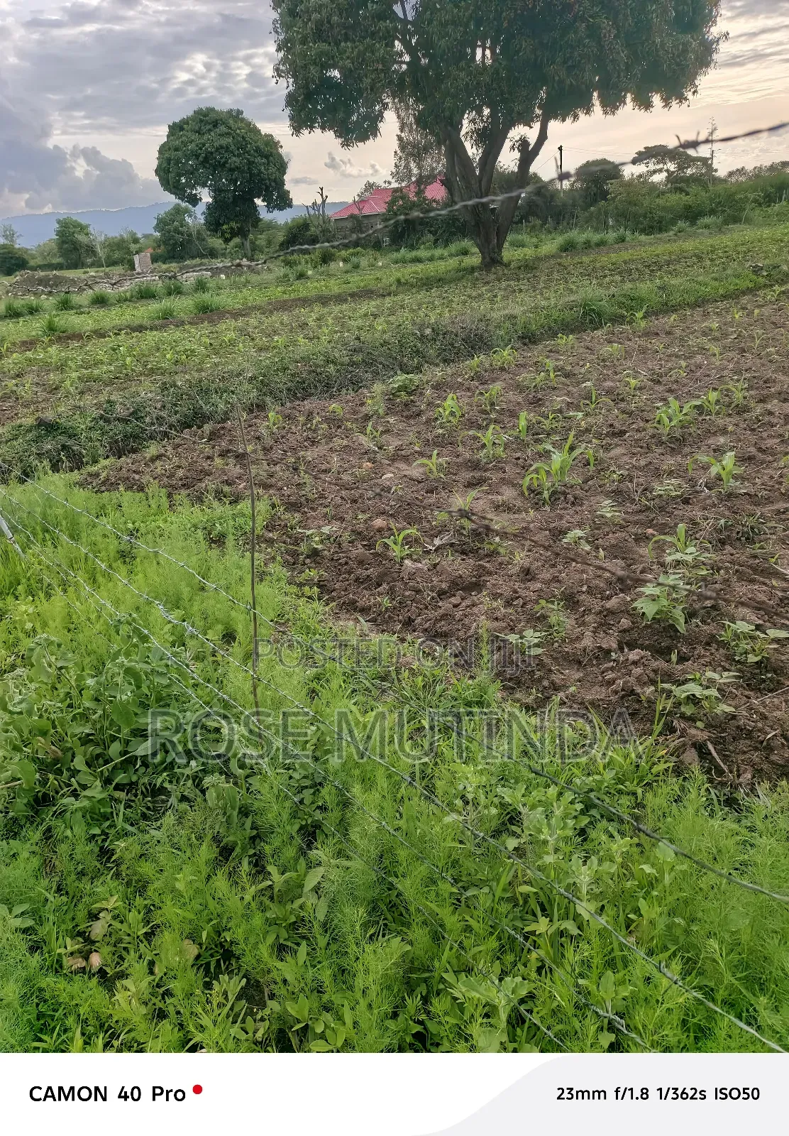 1acres Ar Syanthi