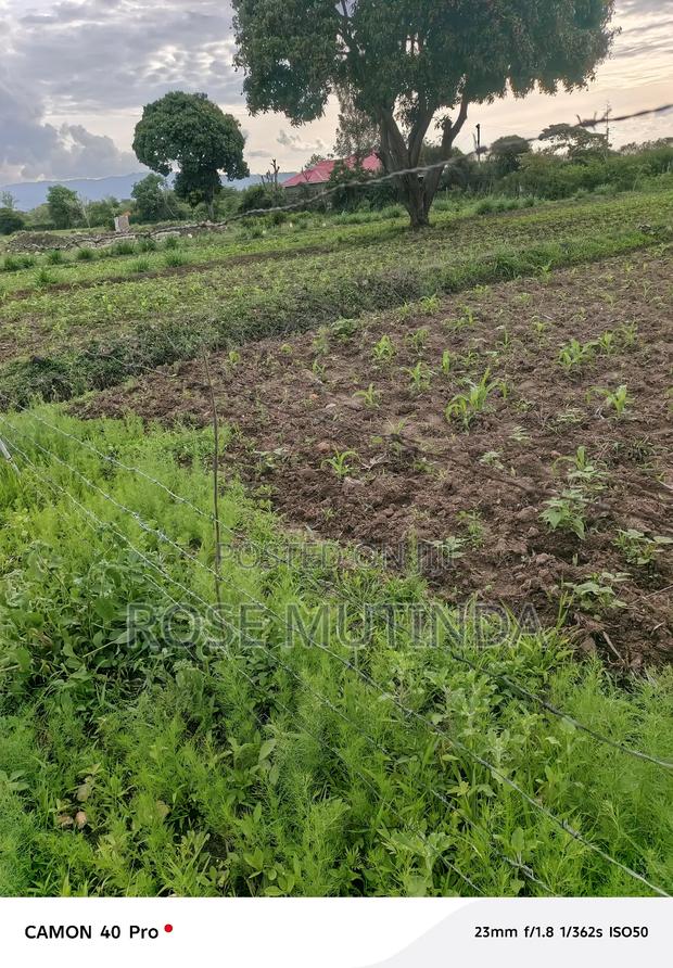 1acres Ar Syanthi - thumbnail 3