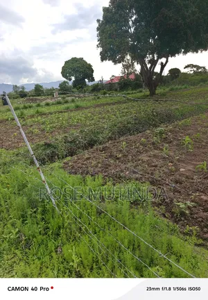 1acres Ar Syanthi