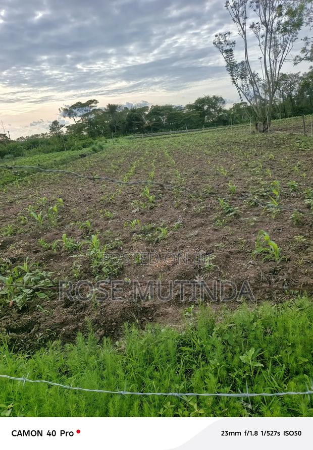 1acres Ar Syanthi - thumbnail 6