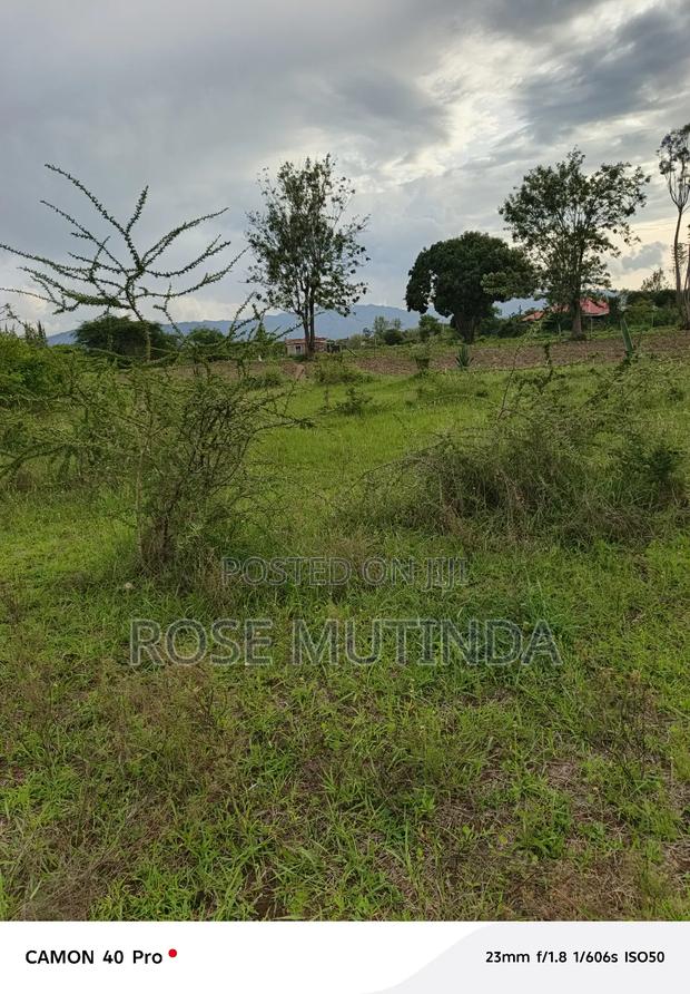 1and Half at Kathaana - main view