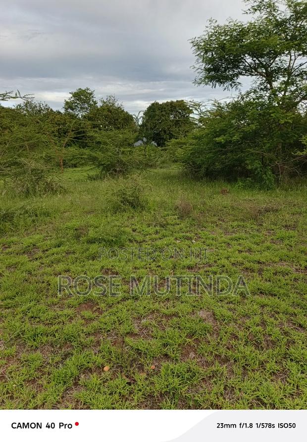 1and Half at Kathaana - thumbnail 2