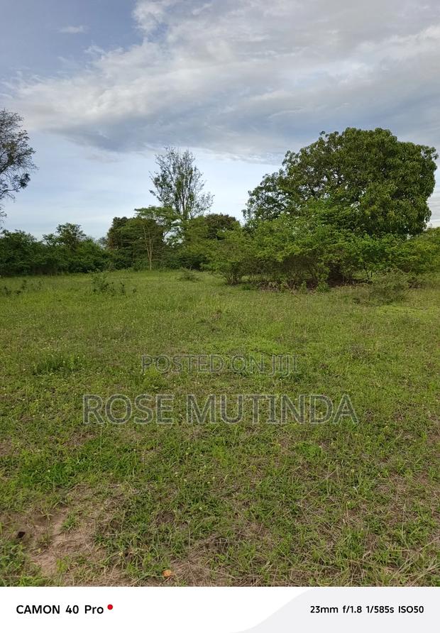 1and Half at Kathaana - thumbnail 3