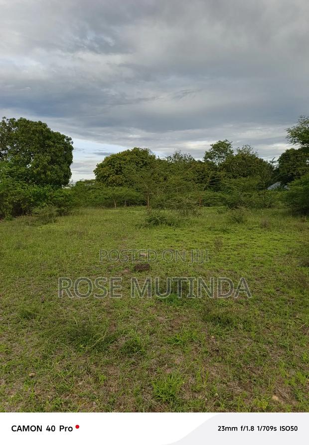 1and Half at Kathaana - thumbnail 4