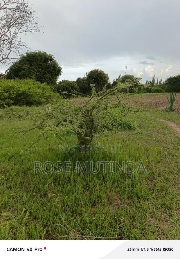 1and Half at Kathaana - thumbnail 5