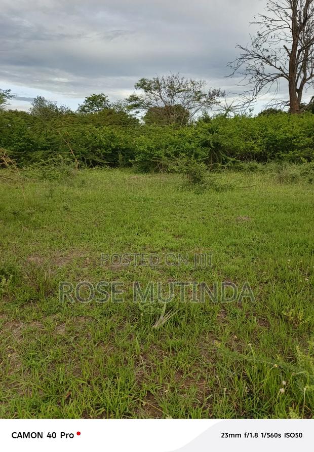 1and Half at Kathaana - thumbnail 6