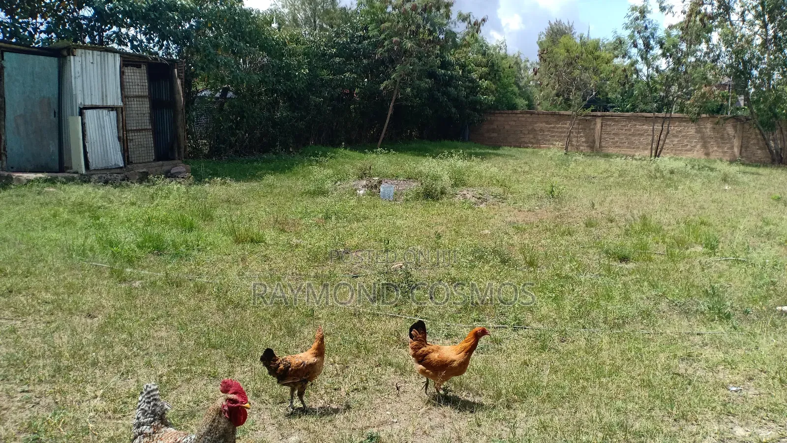 1/4 Acres on Sale at Utawala