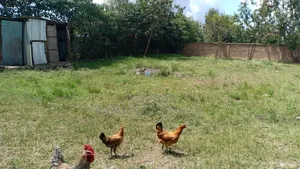 1/4 Acres on Sale at Utawala