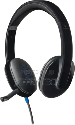 Logitech High-Performance Usb Headset H540 for Windows and Mac, Skype