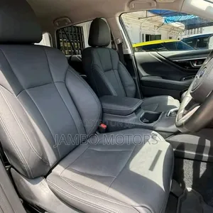 Subaru Outback 2023 Gray