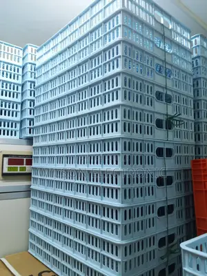 Incubator Hatching Plastic Crates