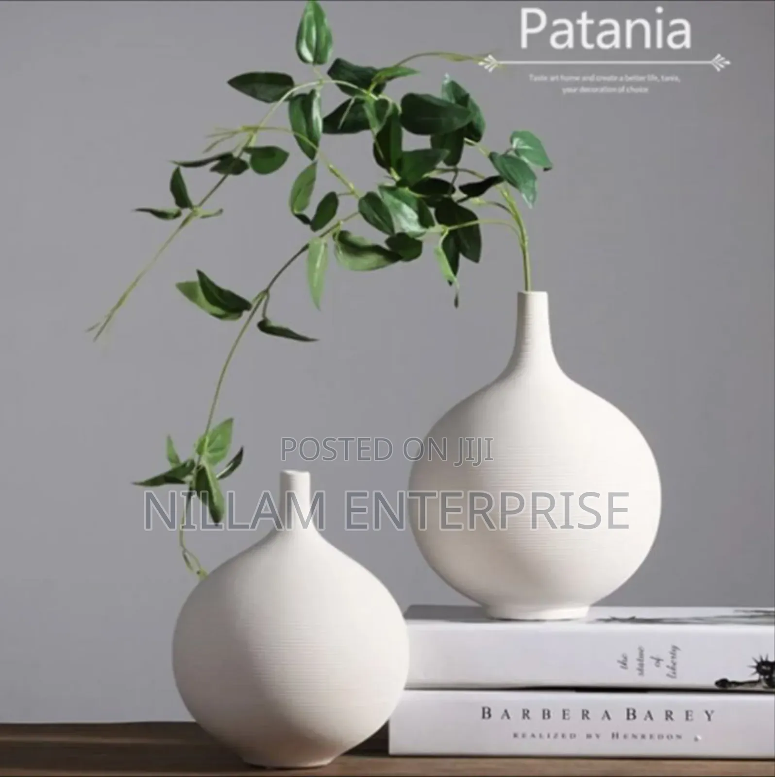 Minimalist Brushed Ceramic Vase With a Matte Finish