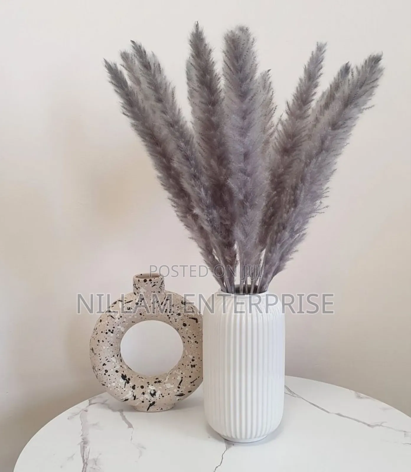 Mini Pampas Grass (60cms)