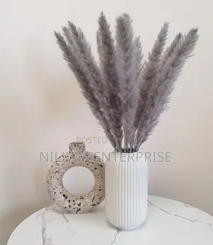 Mini Pampas Grass (60cms)
