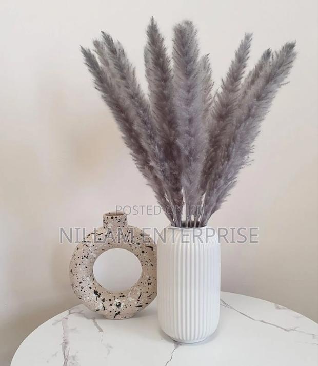 Mini Pampas Grass (60cms) - thumbnail 5
