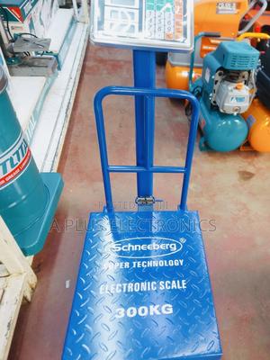 Schneeberg Platform Scales - main view