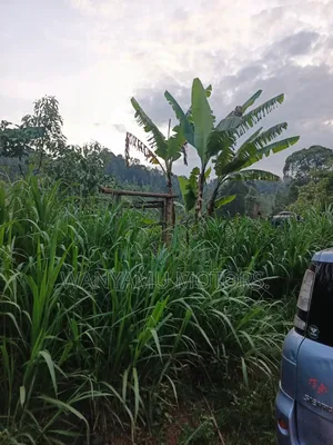 Plot 1 Acr for Sale