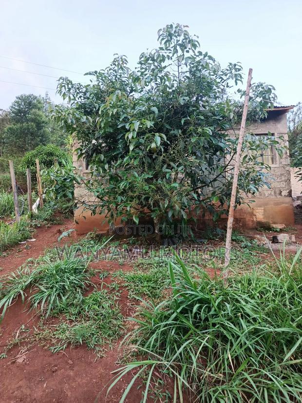 Plot 1 Acr for Sale - thumbnail 7