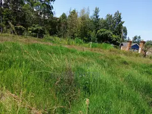 Plot for Sale