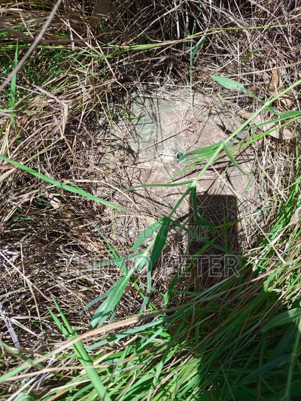 Plot for Sale - thumbnail 7