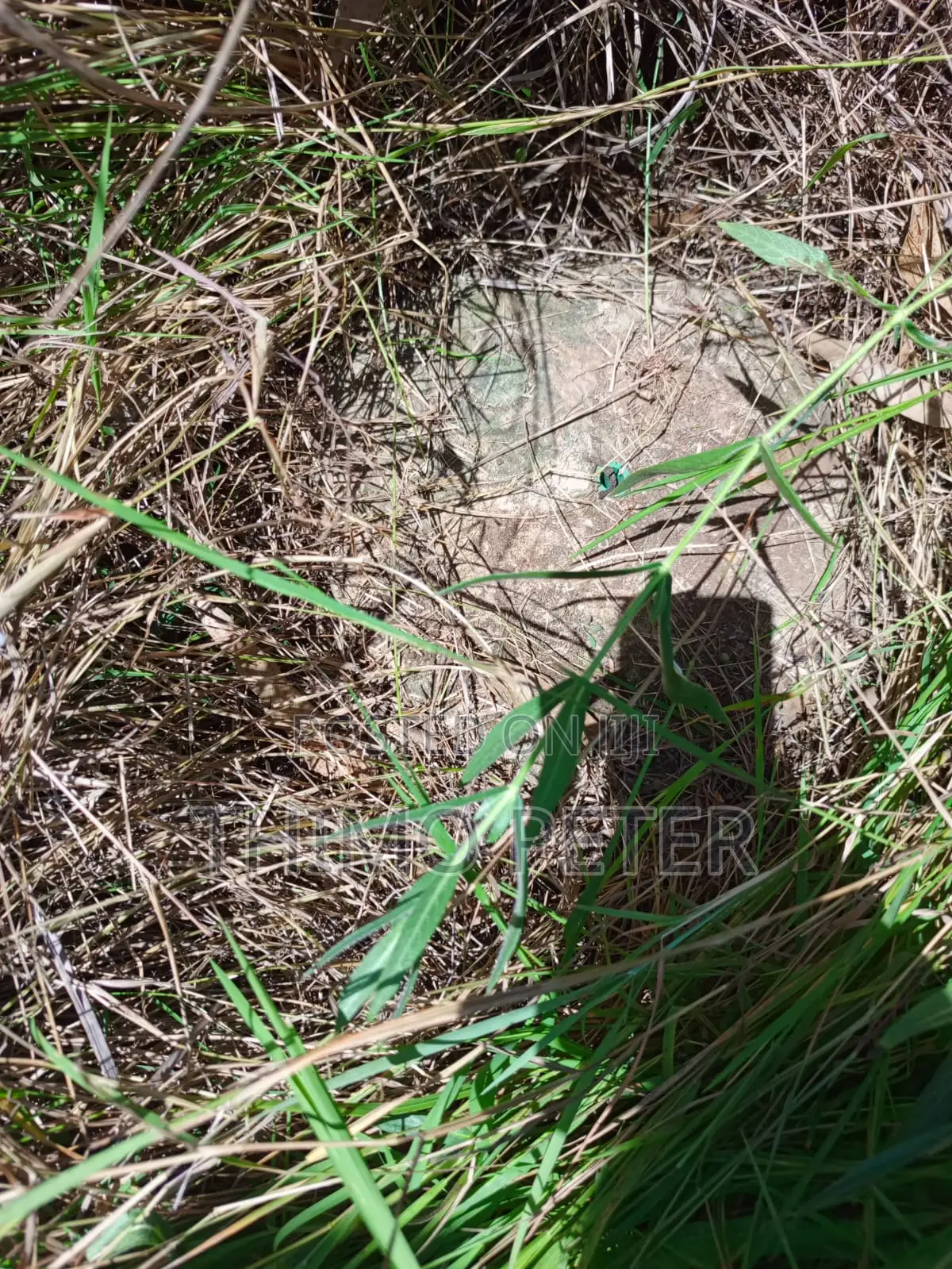 Plot for Sale