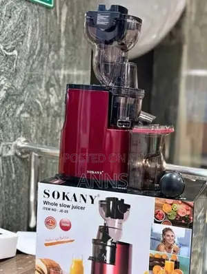 Sokany Whole Slow Juicer S-2 300w